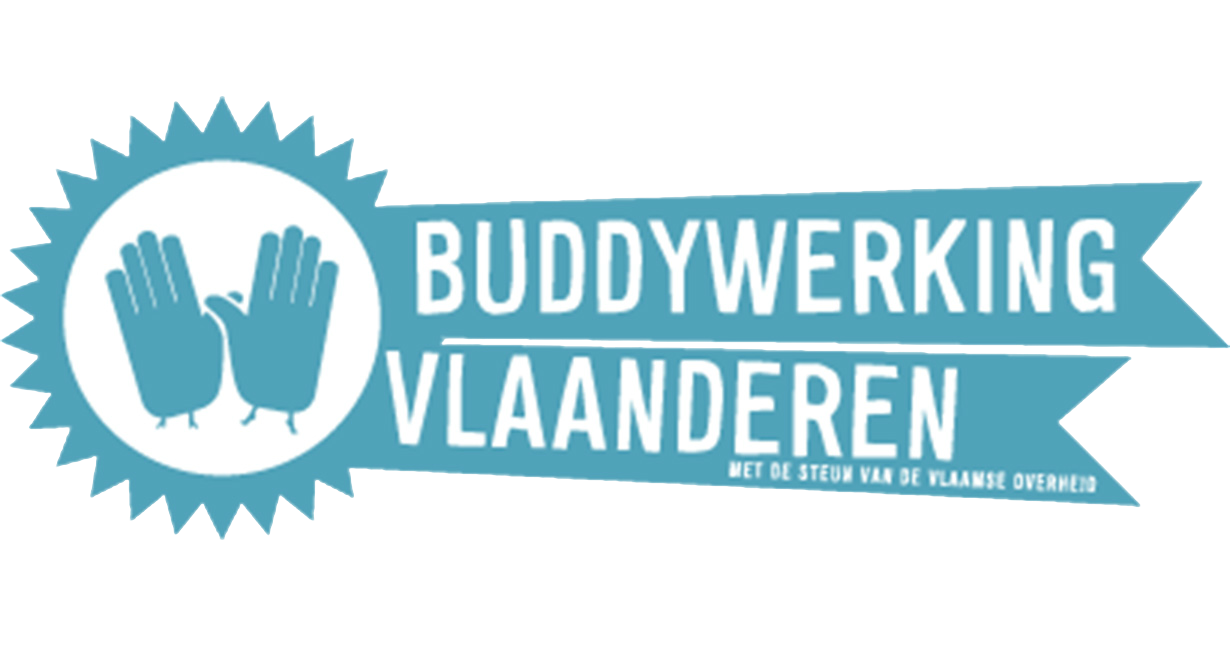 Buddywerking Vlaanderen - projectcoördinatie