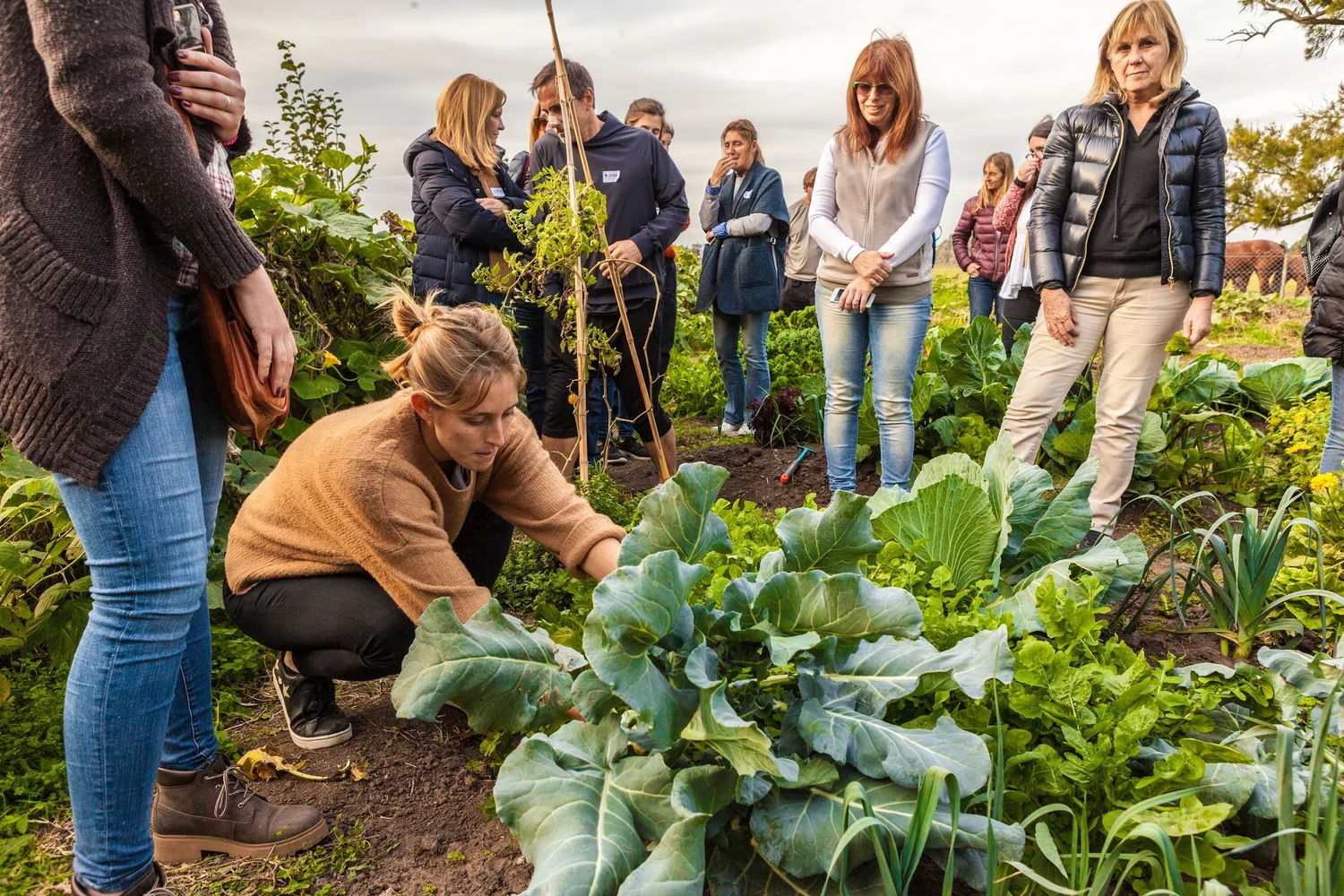 Draagt groene zorg bij aan herstel bij burn-out?