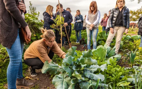 Draagt groene zorg bij aan herstel bij burn-out?